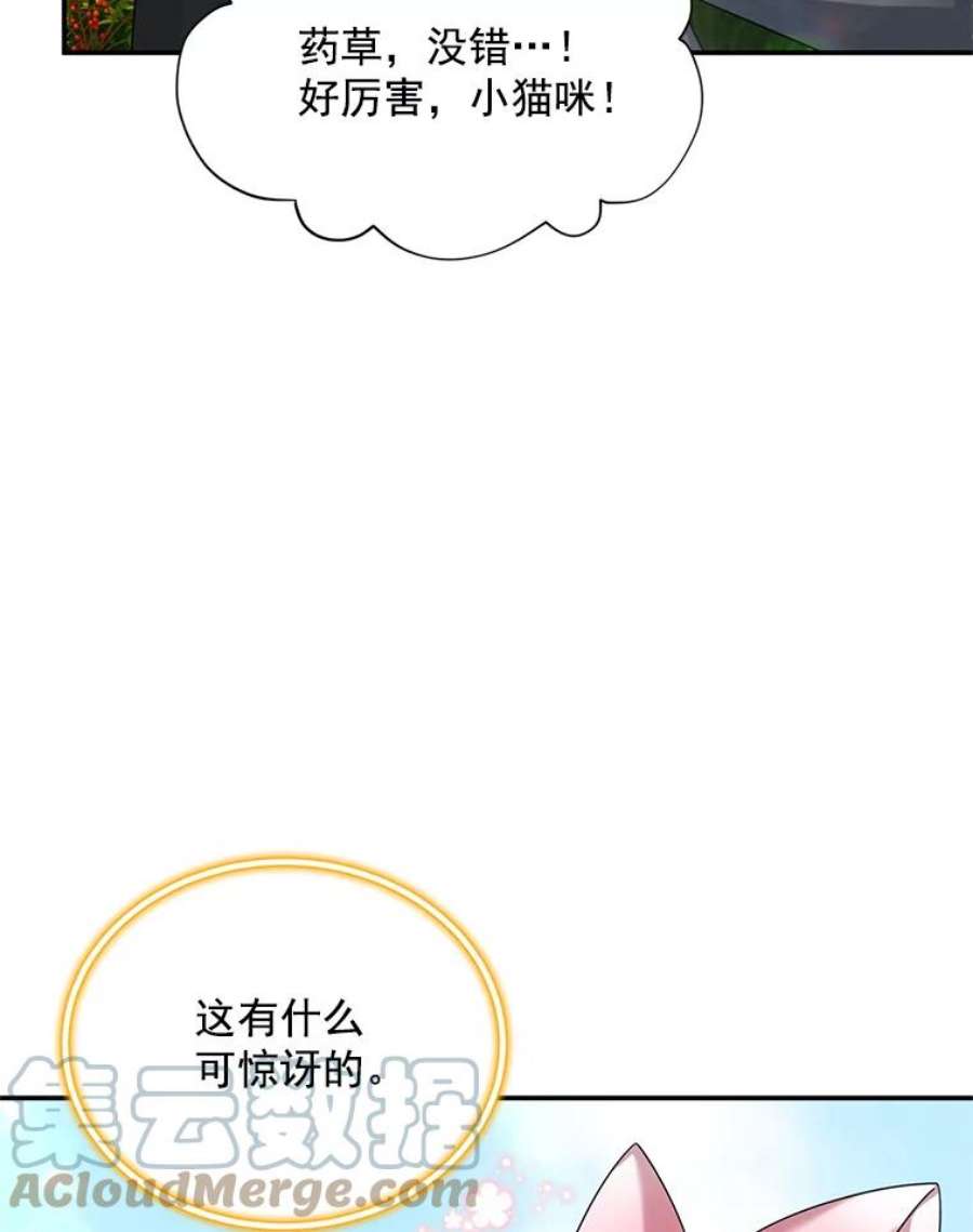 虚名的公爵之妻51.治疗剂
