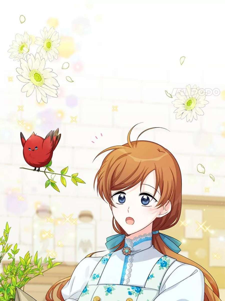 虚名的公爵之妻53.神殿问责