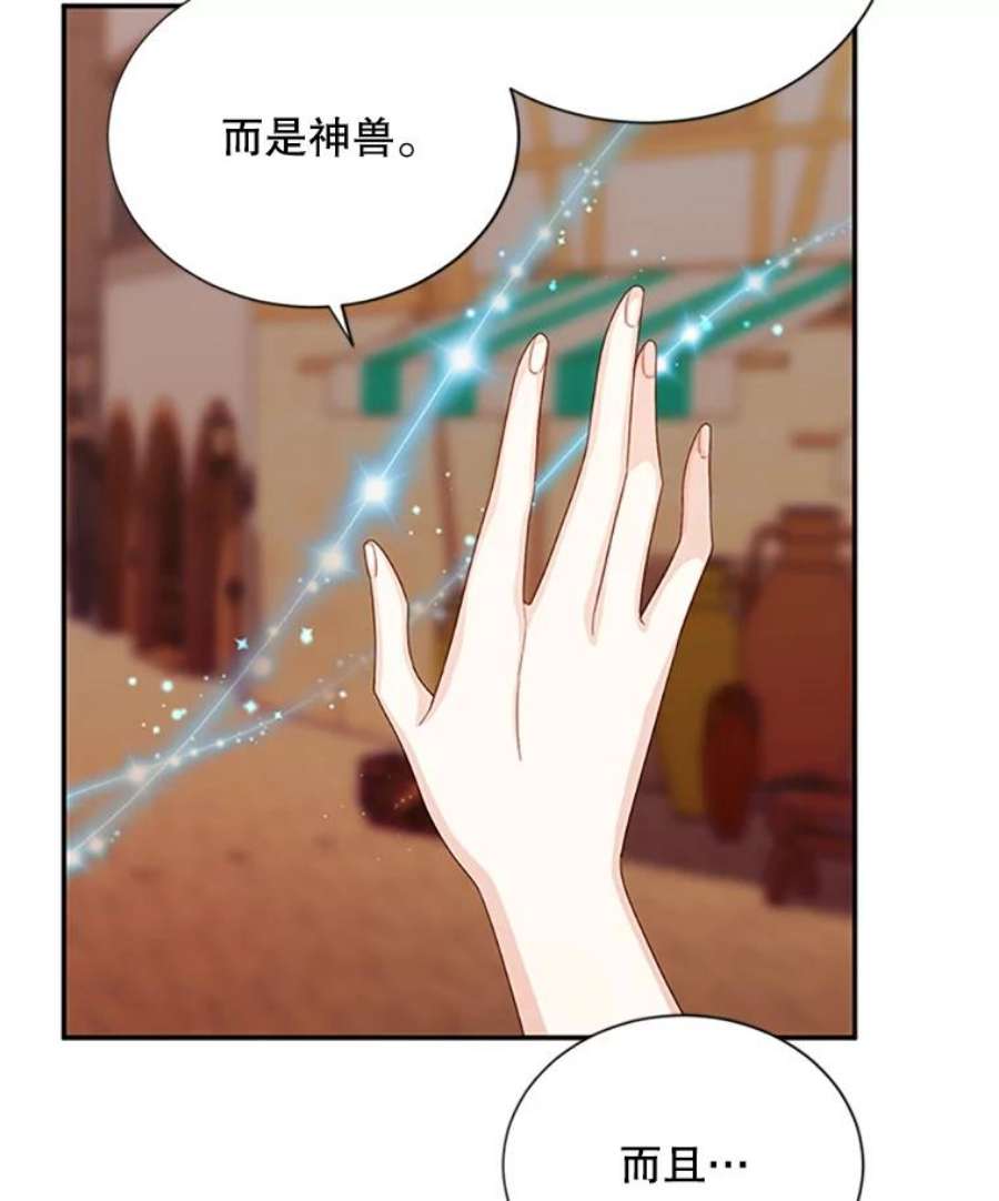 虚名的公爵之妻62.偶遇故人