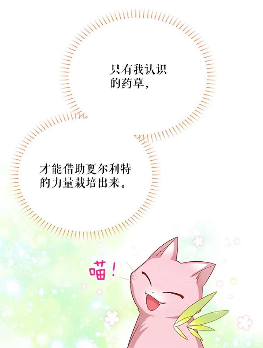 虚名的公爵之妻62.偶遇故人