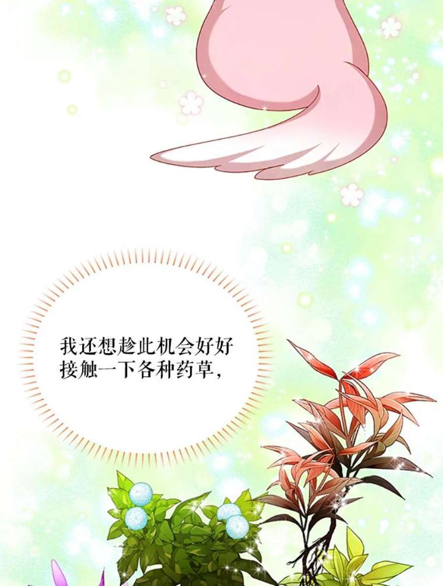 虚名的公爵之妻62.偶遇故人