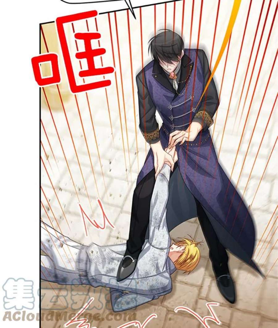 虚名的公爵之妻65.大打出手