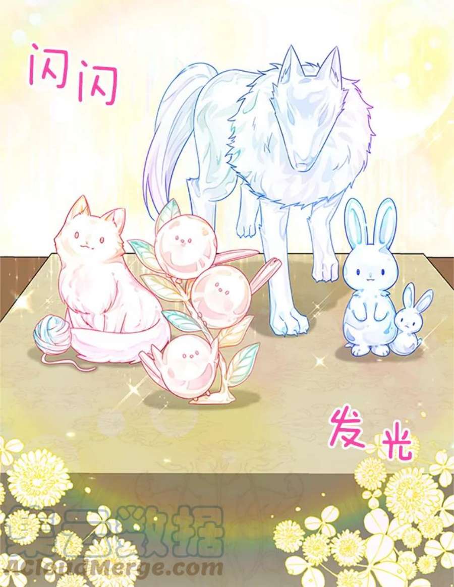 虚名的公爵之妻66.问罪