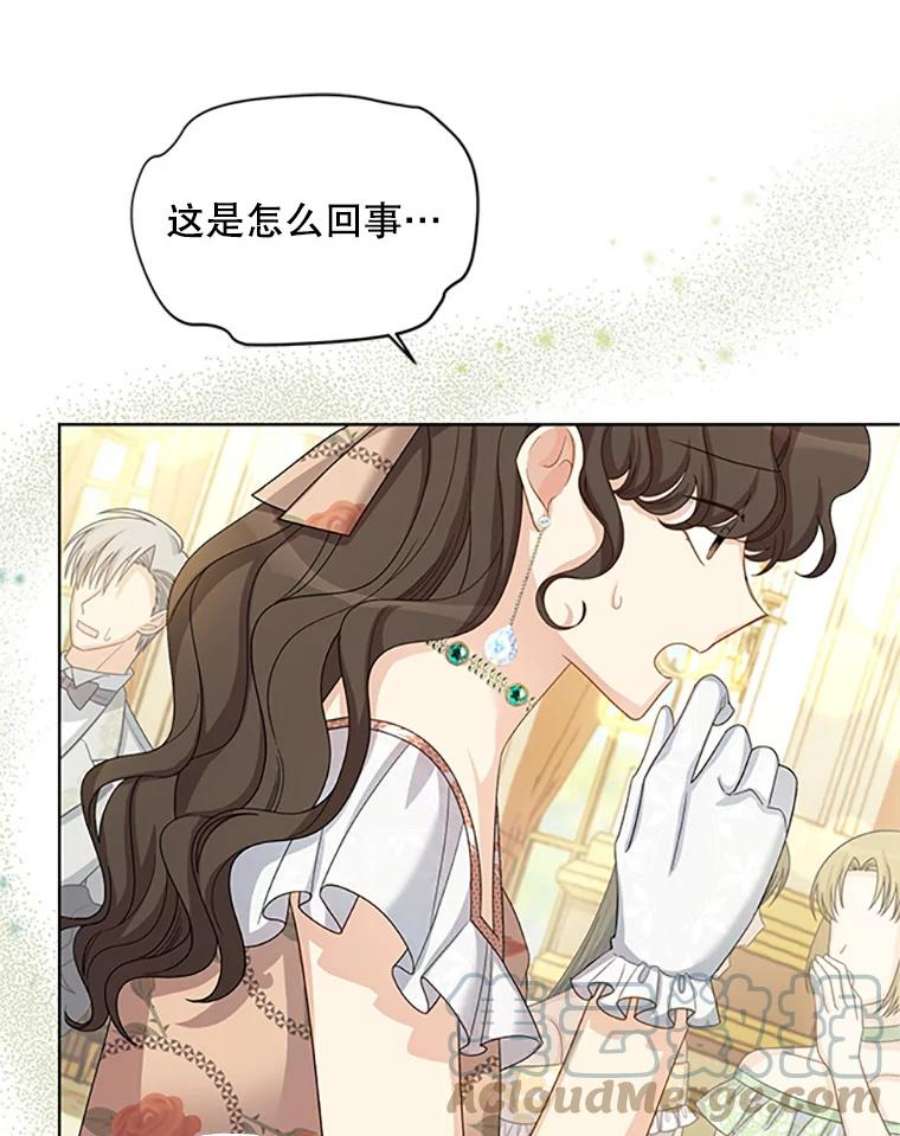 虚名的公爵之妻67.舞会的主人公
