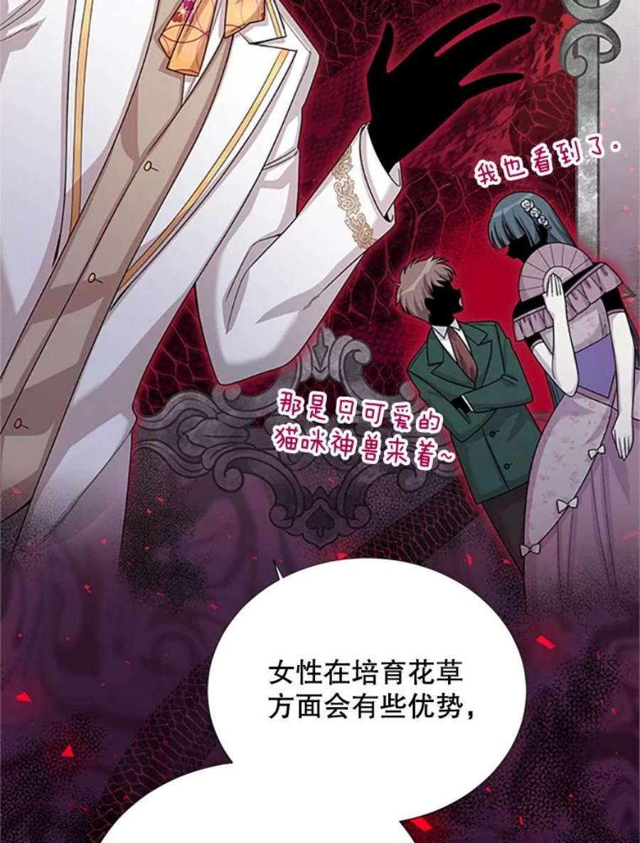 虚名的公爵之妻67.舞会的主人公