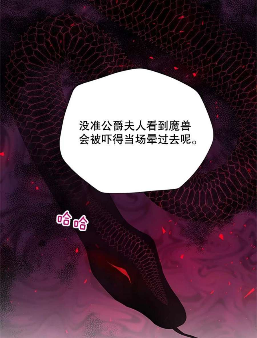 虚名的公爵之妻67.舞会的主人公