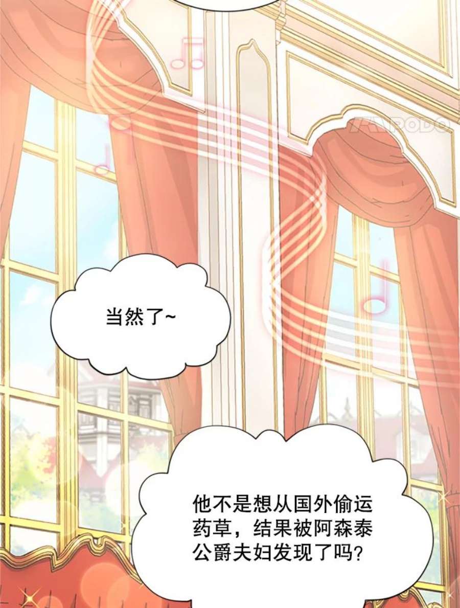 虚名的公爵之妻67.舞会的主人公