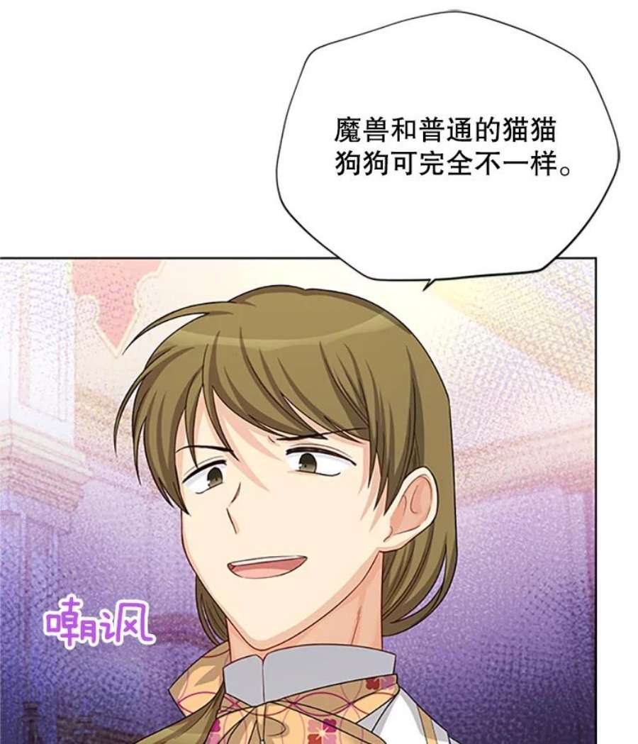 虚名的公爵之妻67.舞会的主人公