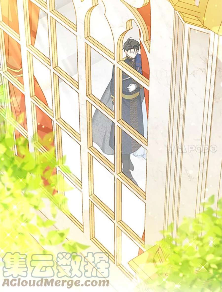虚名的公爵之妻67.舞会的主人公