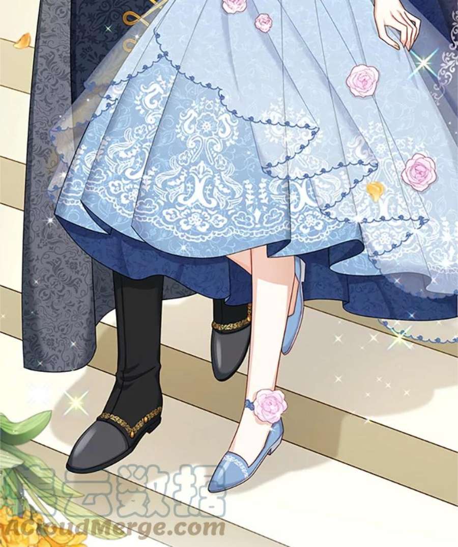 虚名的公爵之妻67.舞会的主人公