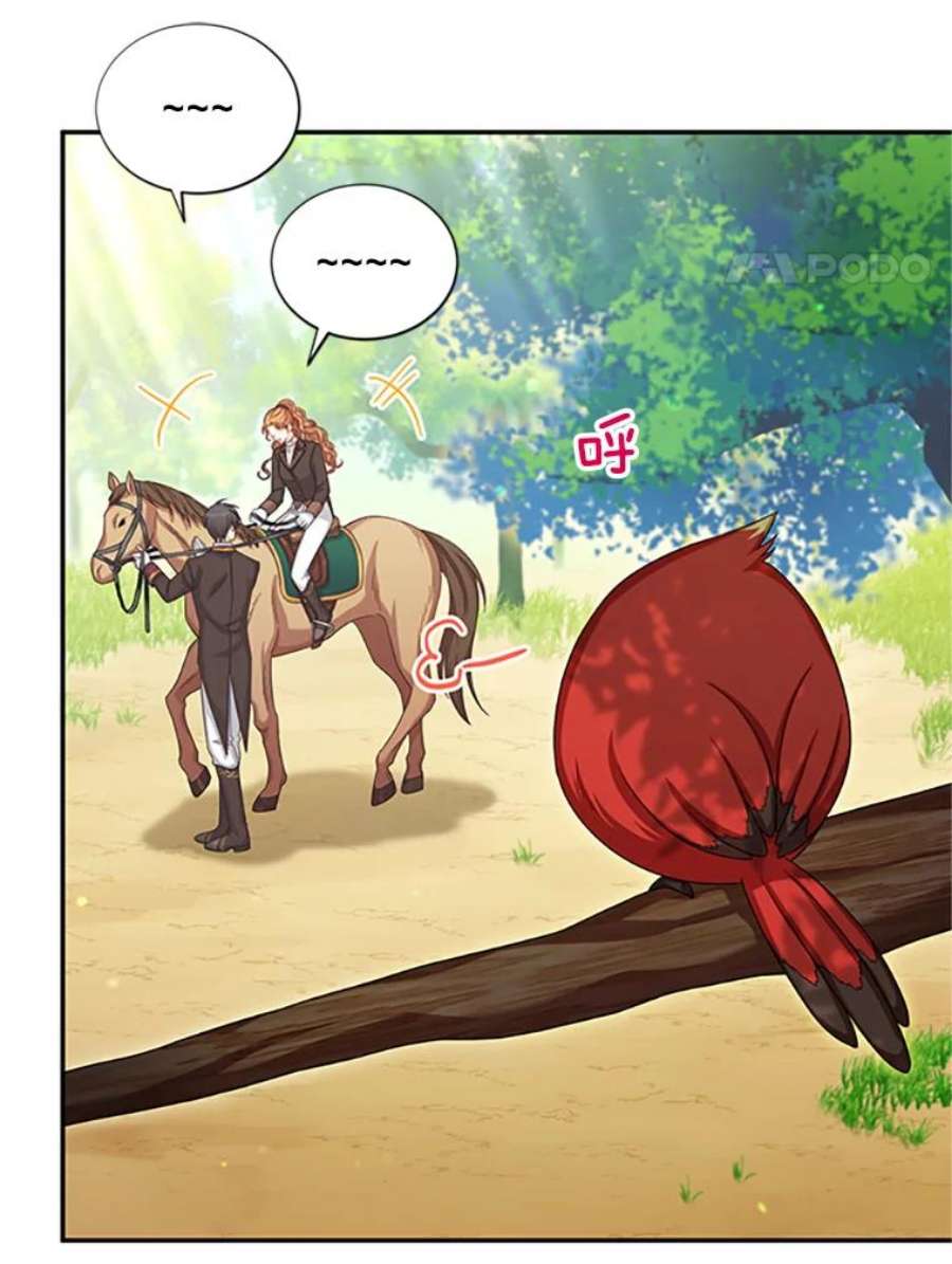 虚名的公爵之妻71.学习骑马