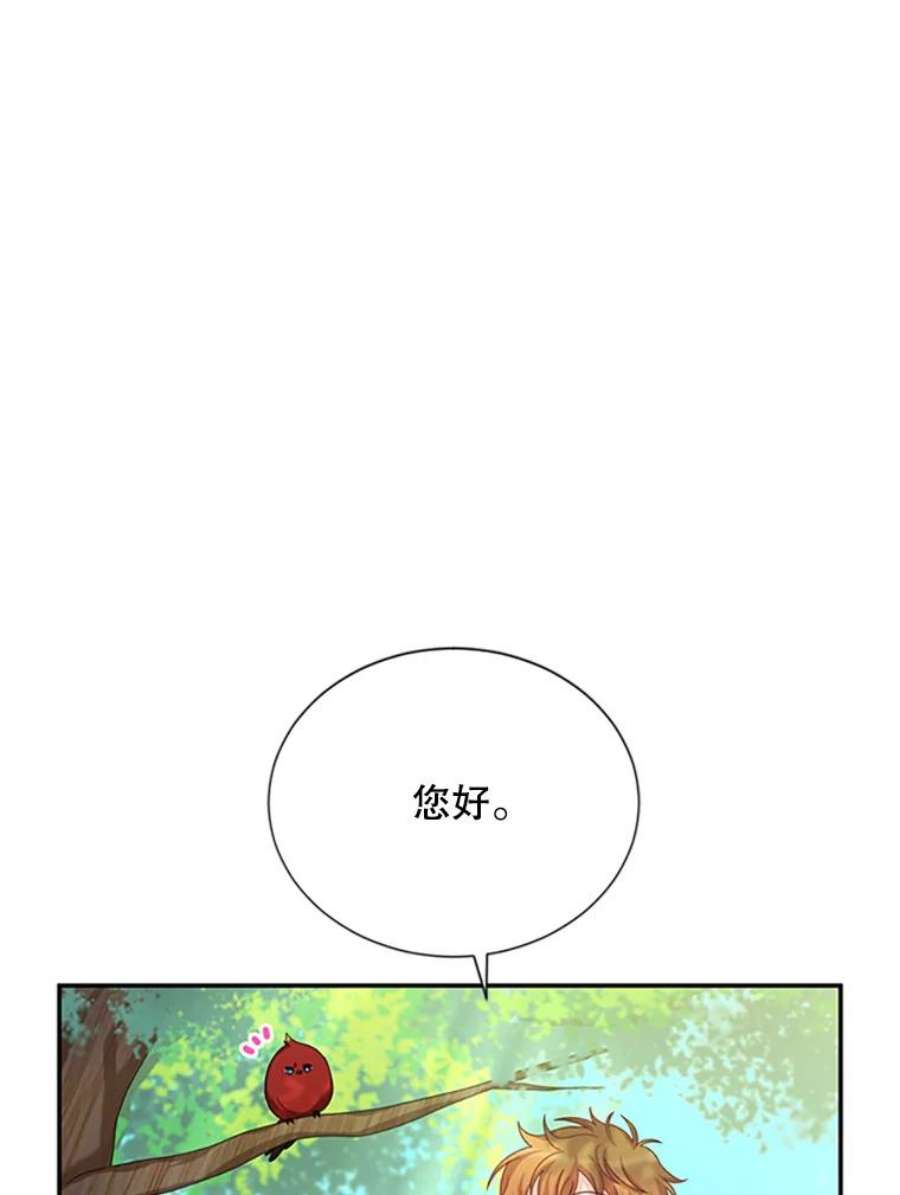 虚名的公爵之妻71.学习骑马