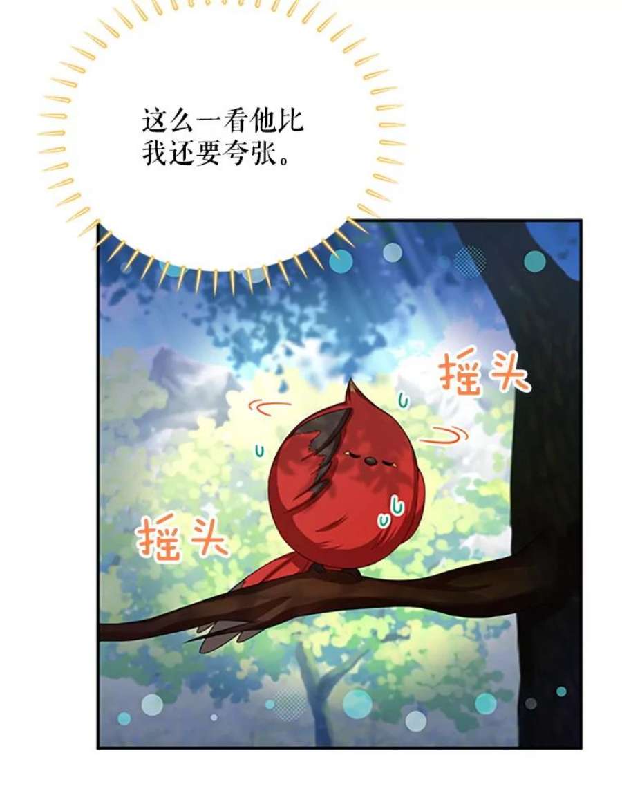 虚名的公爵之妻72.来自波特家的一封信