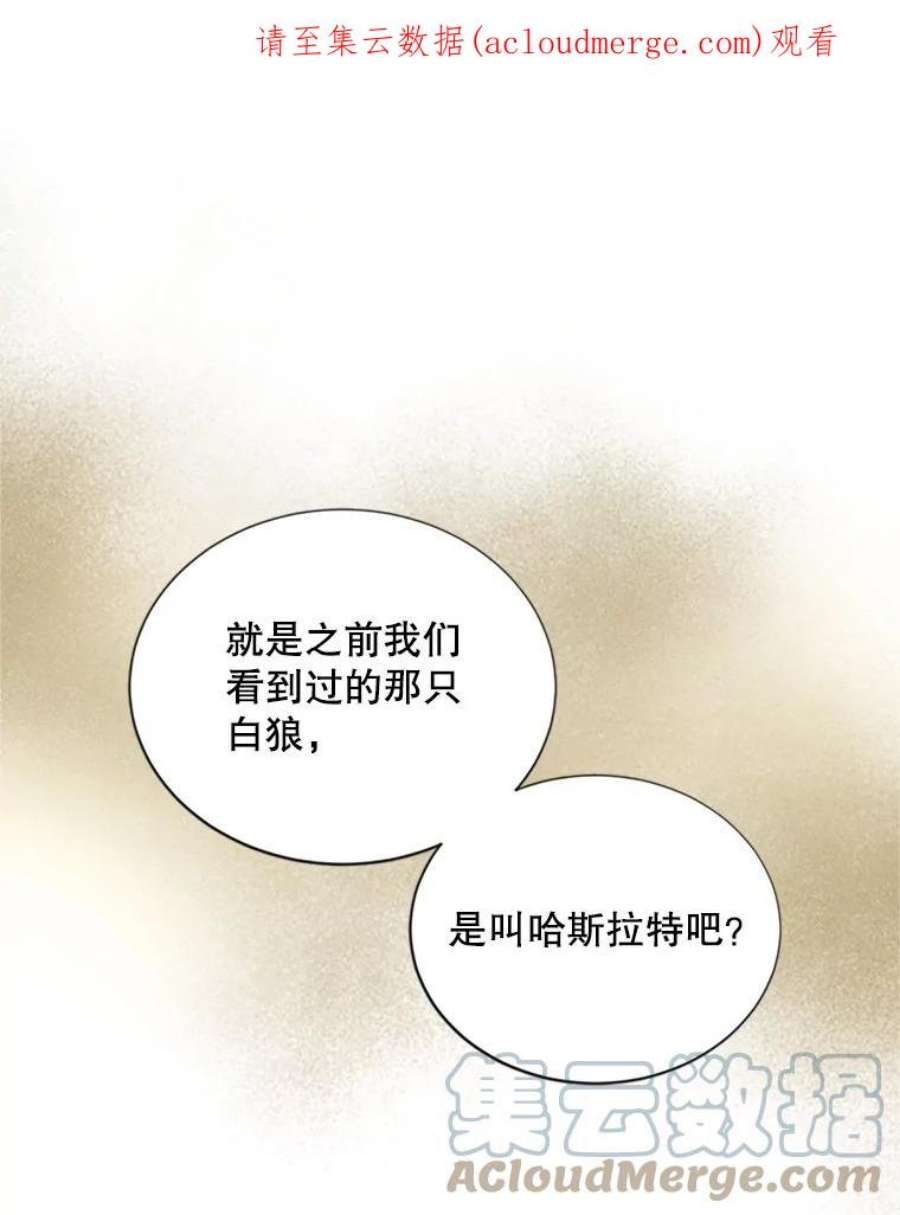 虚名的公爵之妻76.侦察