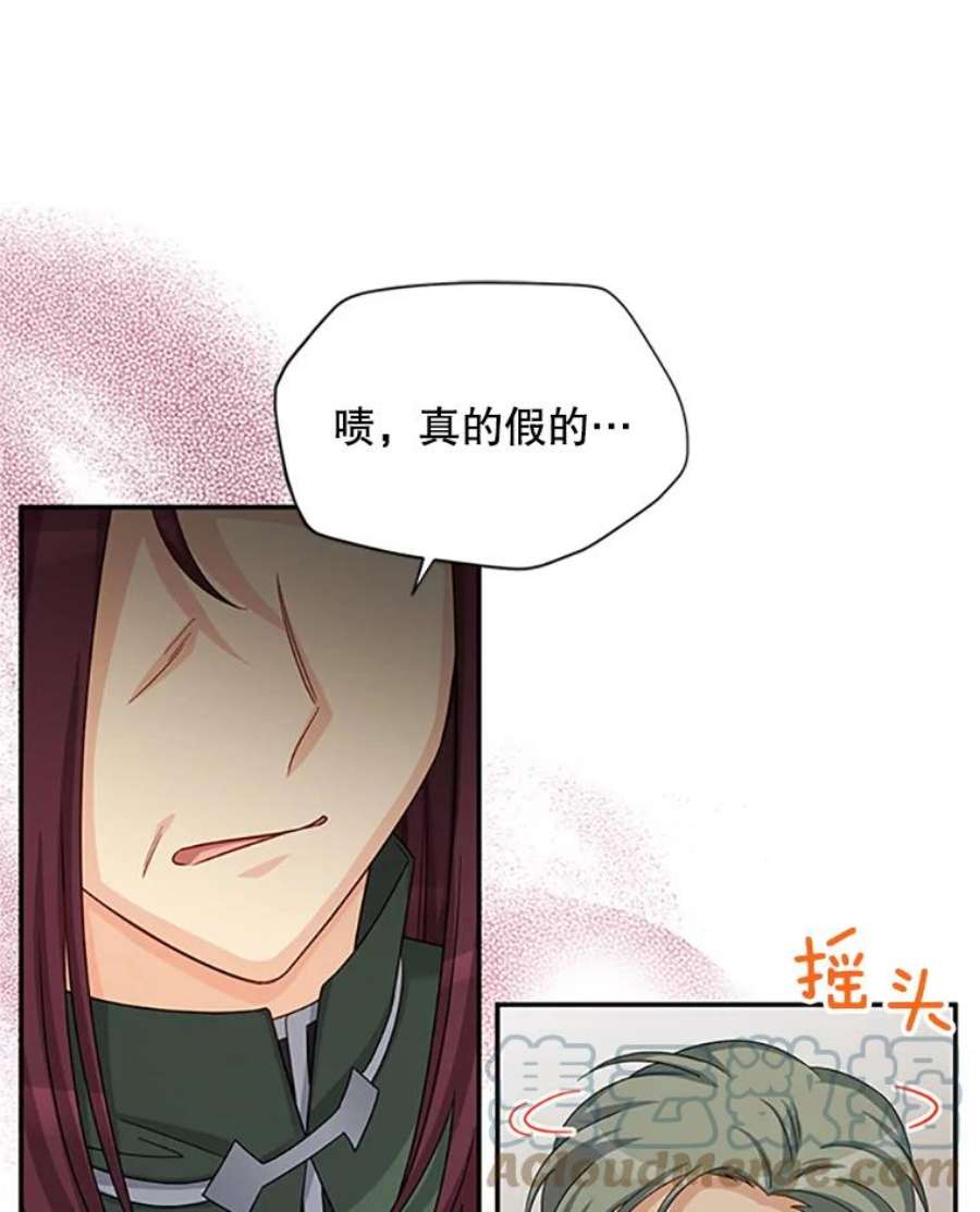 虚名的公爵之妻76.侦察