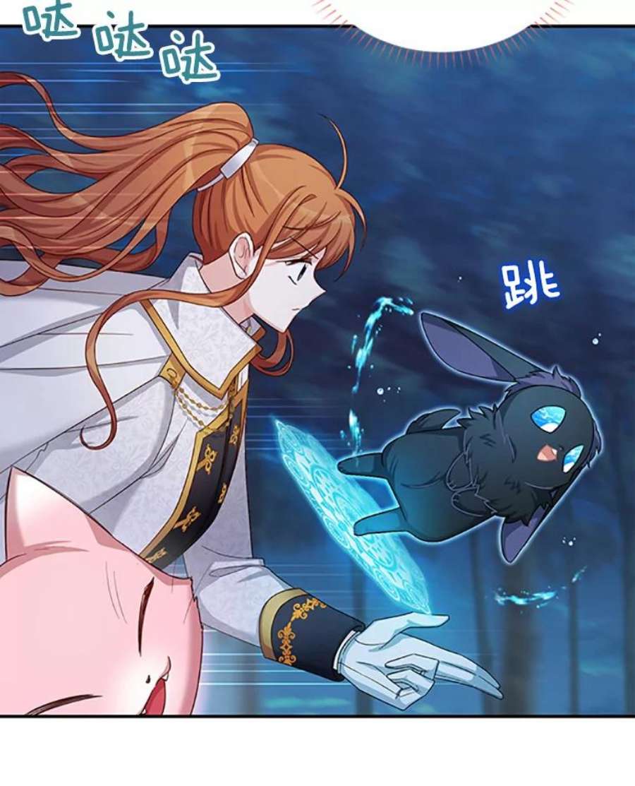 虚名的公爵之妻78.夜袭魔兽村