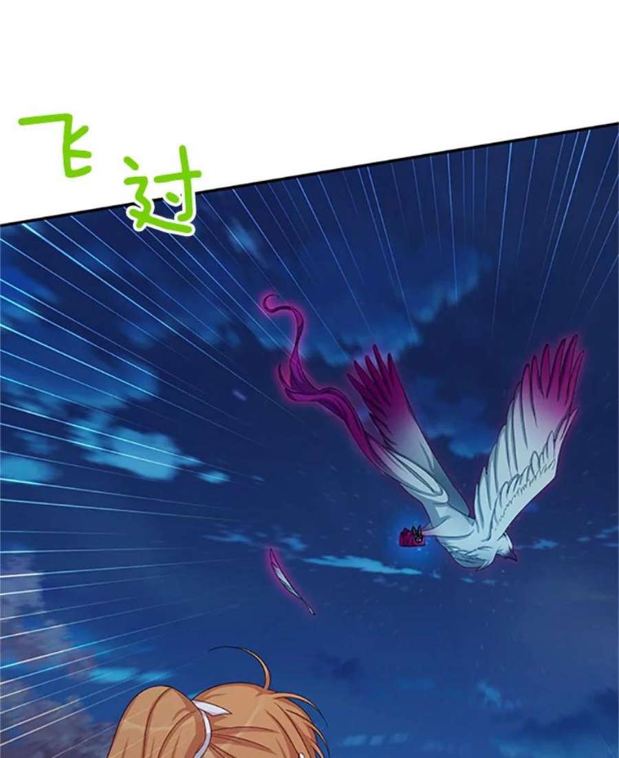 虚名的公爵之妻78.夜袭魔兽村