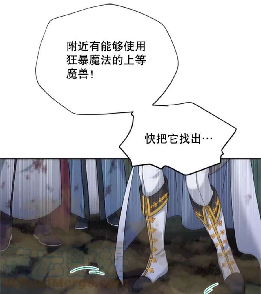 虚名的公爵之妻78.夜袭魔兽村