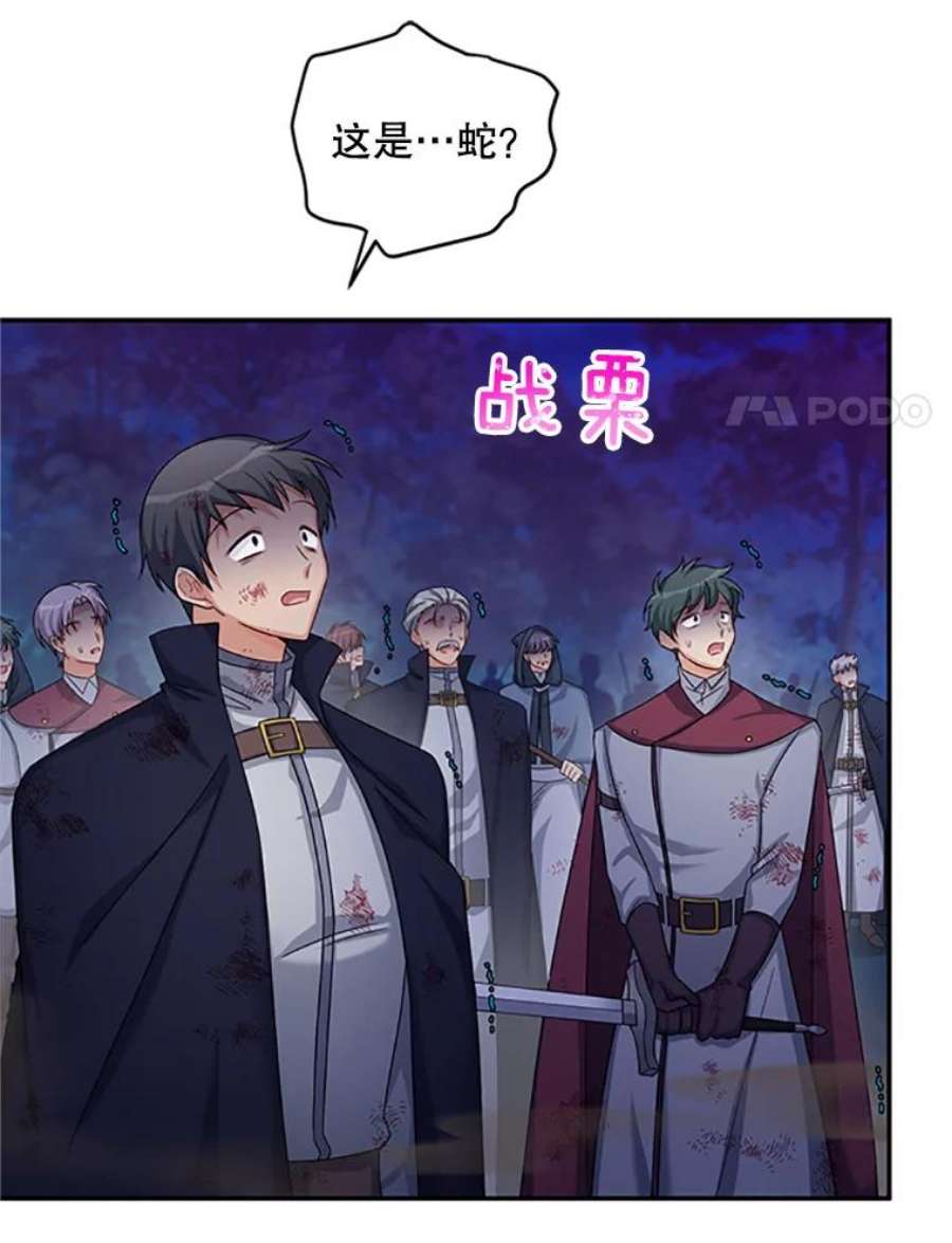 虚名的公爵之妻78.夜袭魔兽村