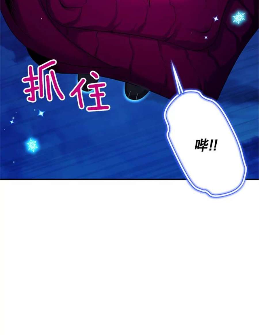 虚名的公爵之妻79.单独行动