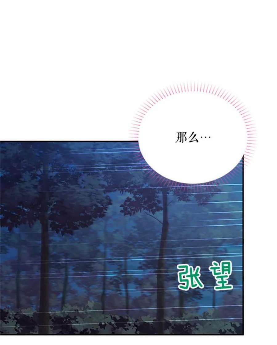 虚名的公爵之妻79.单独行动