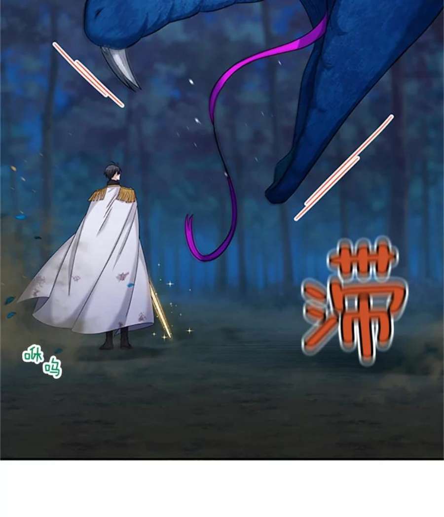 虚名的公爵之妻79.单独行动