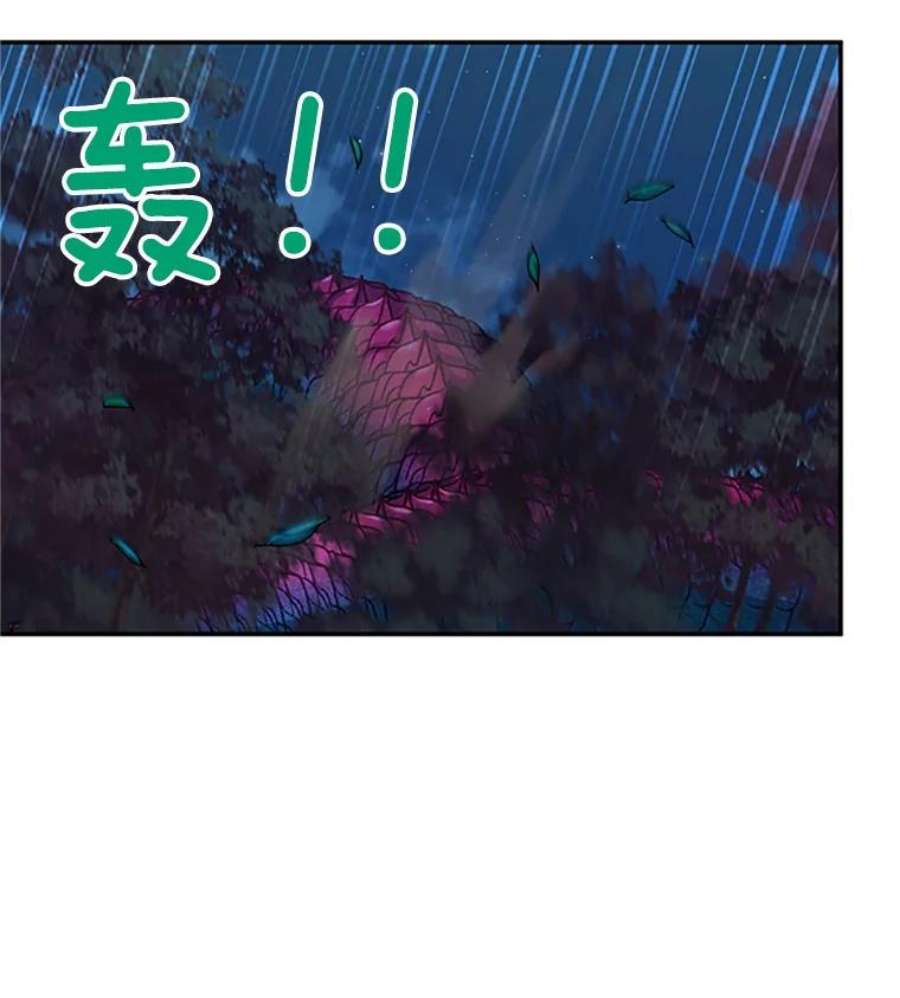 虚名的公爵之妻79.单独行动