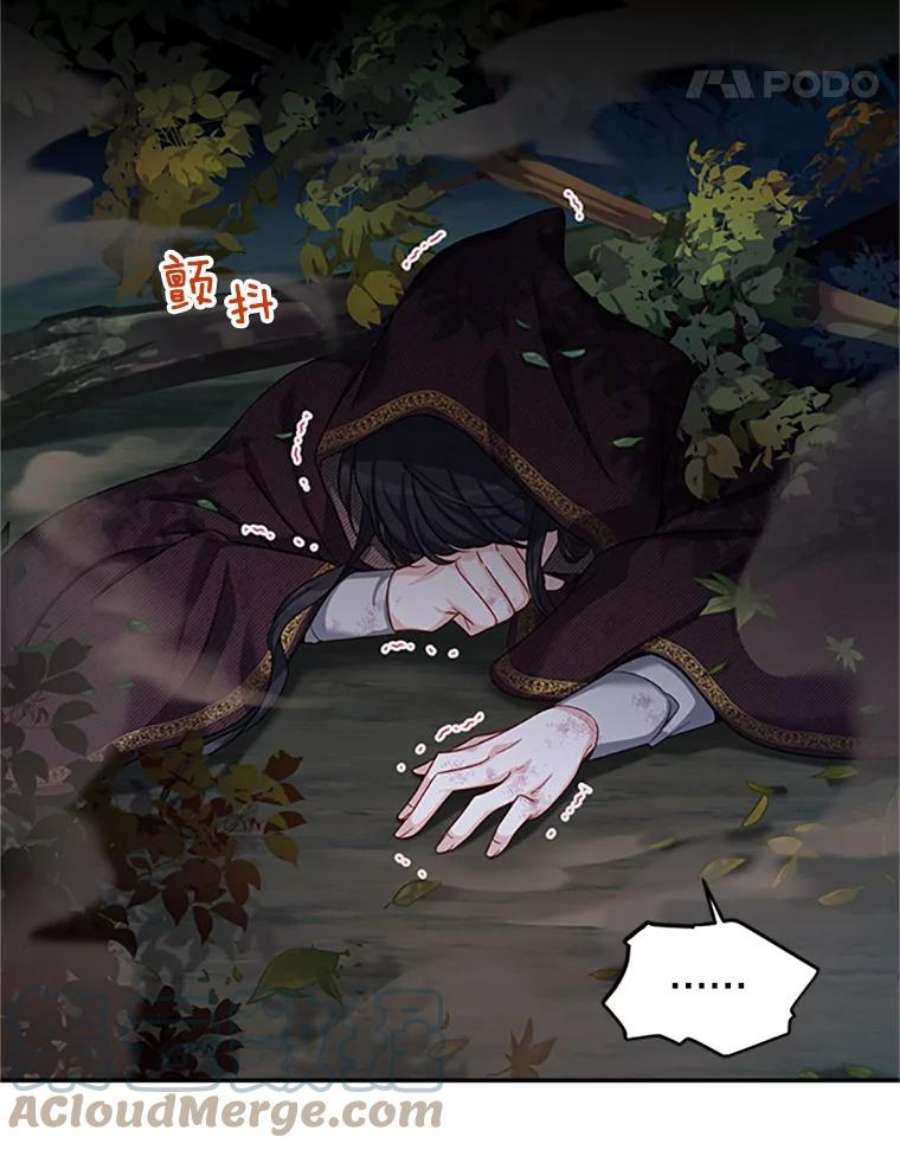 虚名的公爵之妻80.加斯帕的新影子