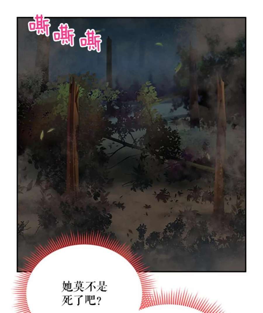 虚名的公爵之妻80.加斯帕的新影子