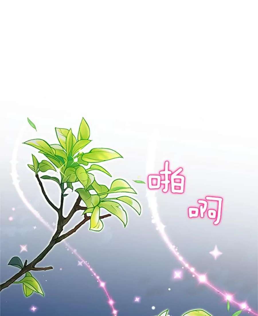 虚名的公爵之妻80.加斯帕的新影子