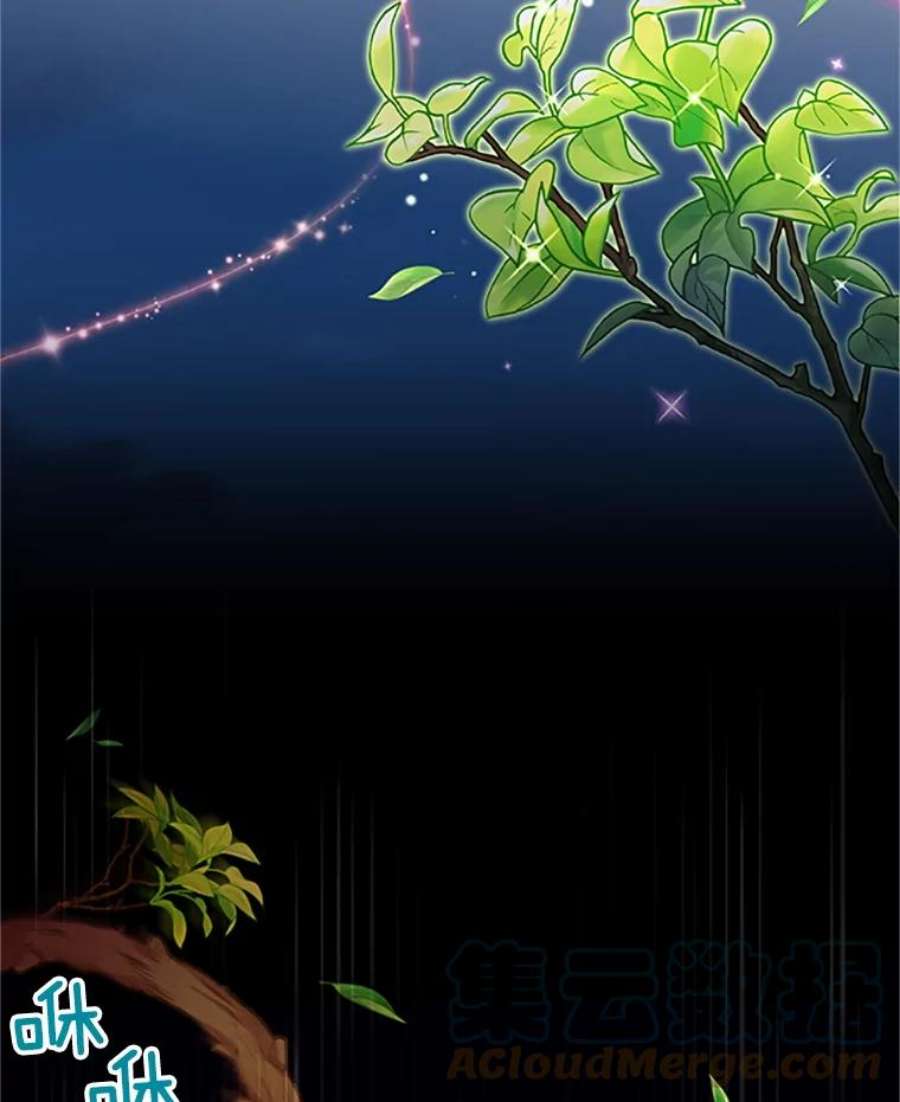虚名的公爵之妻80.加斯帕的新影子