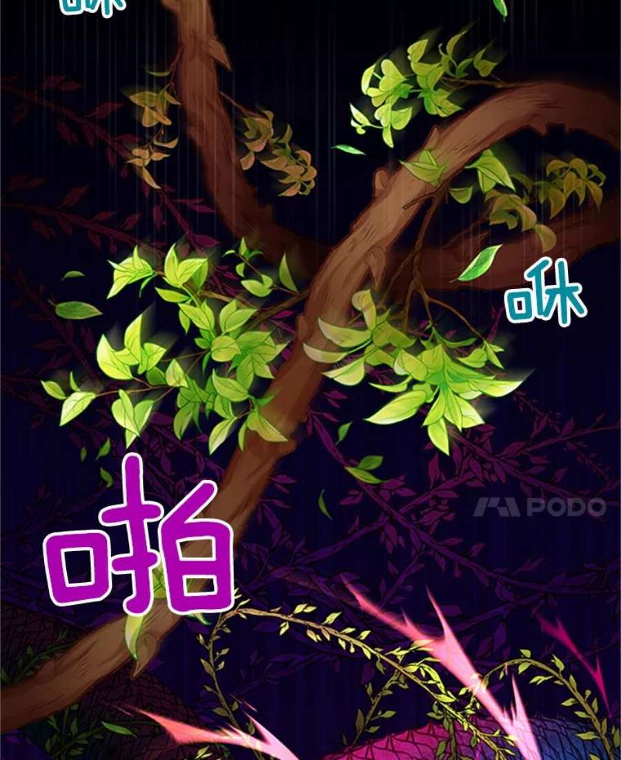 虚名的公爵之妻80.加斯帕的新影子