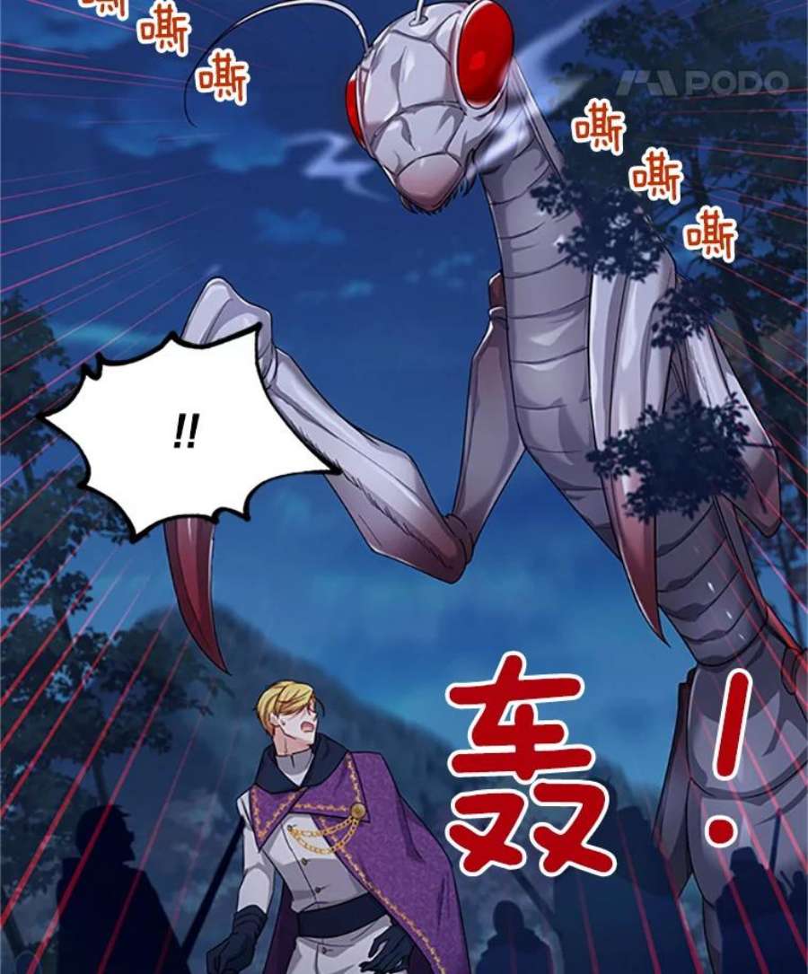 虚名的公爵之妻80.加斯帕的新影子