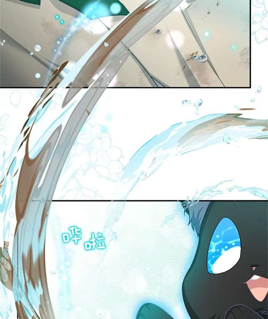 虚名的公爵之妻85.坦白