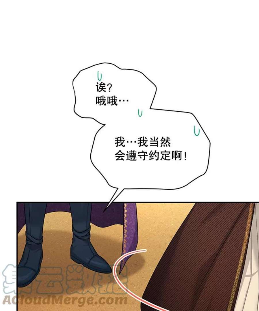 虚名的公爵之妻87.初次见面