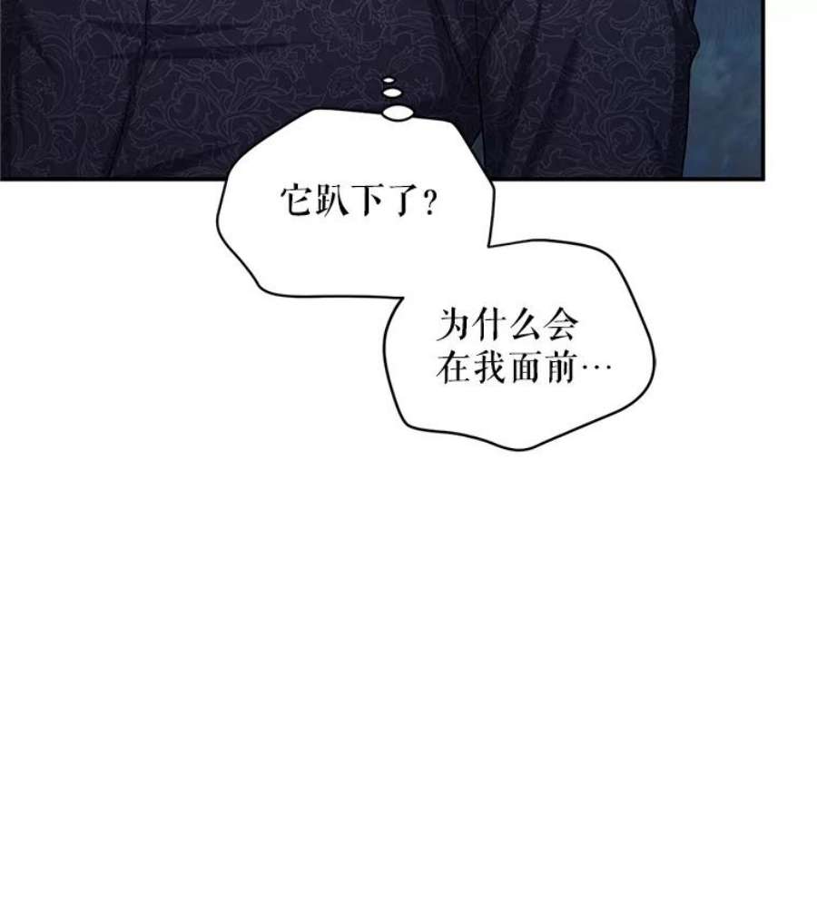 虚名的公爵之妻94.黑魔力