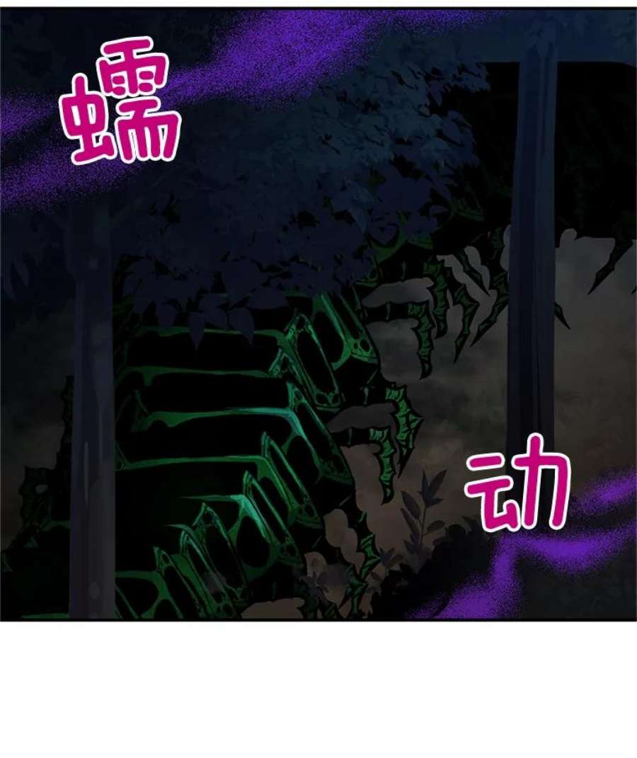 虚名的公爵之妻96.黄金召唤师的话归