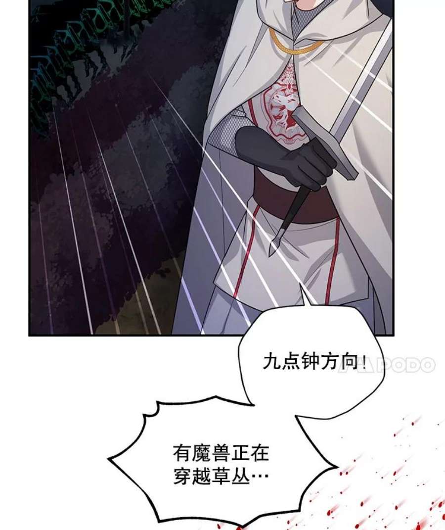 虚名的公爵之妻96.黄金召唤师的话归
