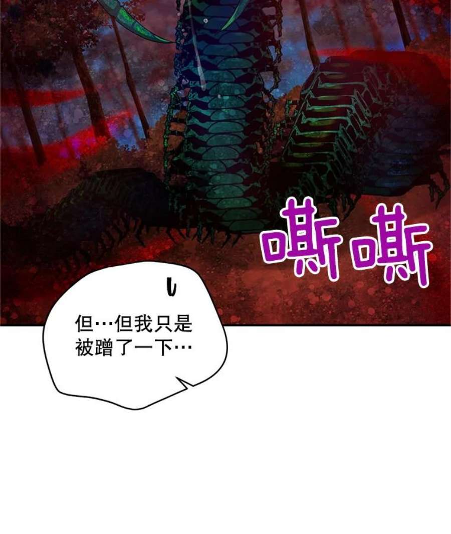虚名的公爵之妻96.黄金召唤师的话归