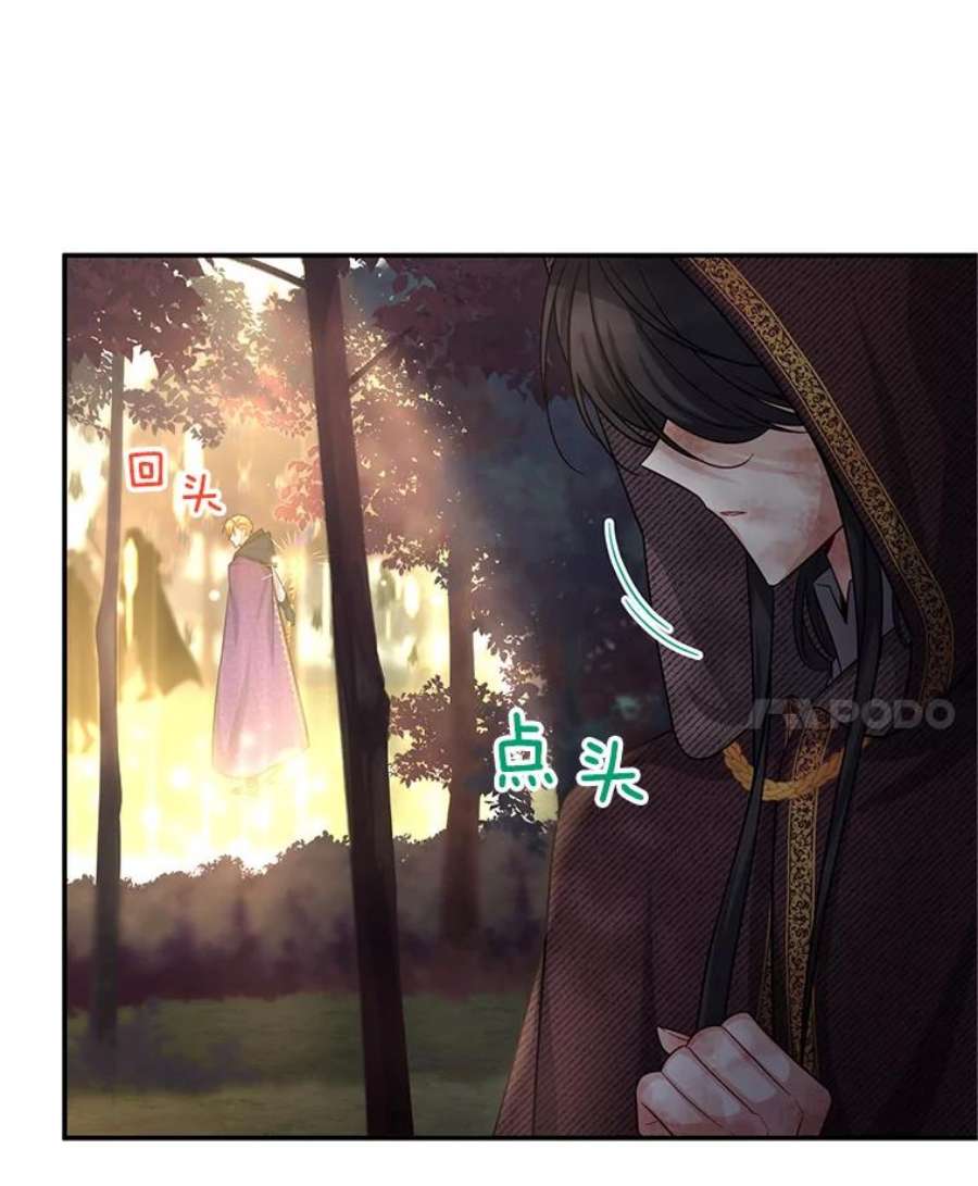 虚名的公爵之妻96.黄金召唤师的话归