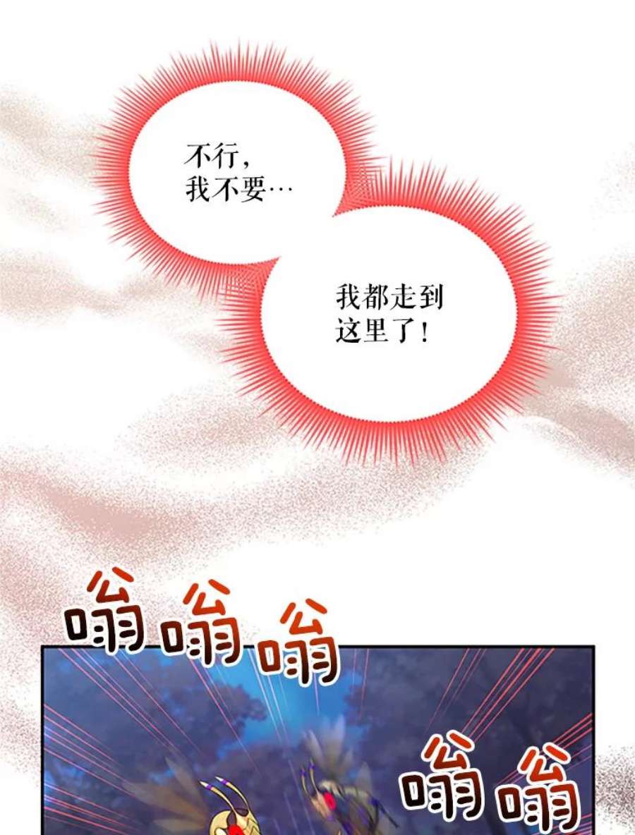 虚名的公爵之妻97.无路可退