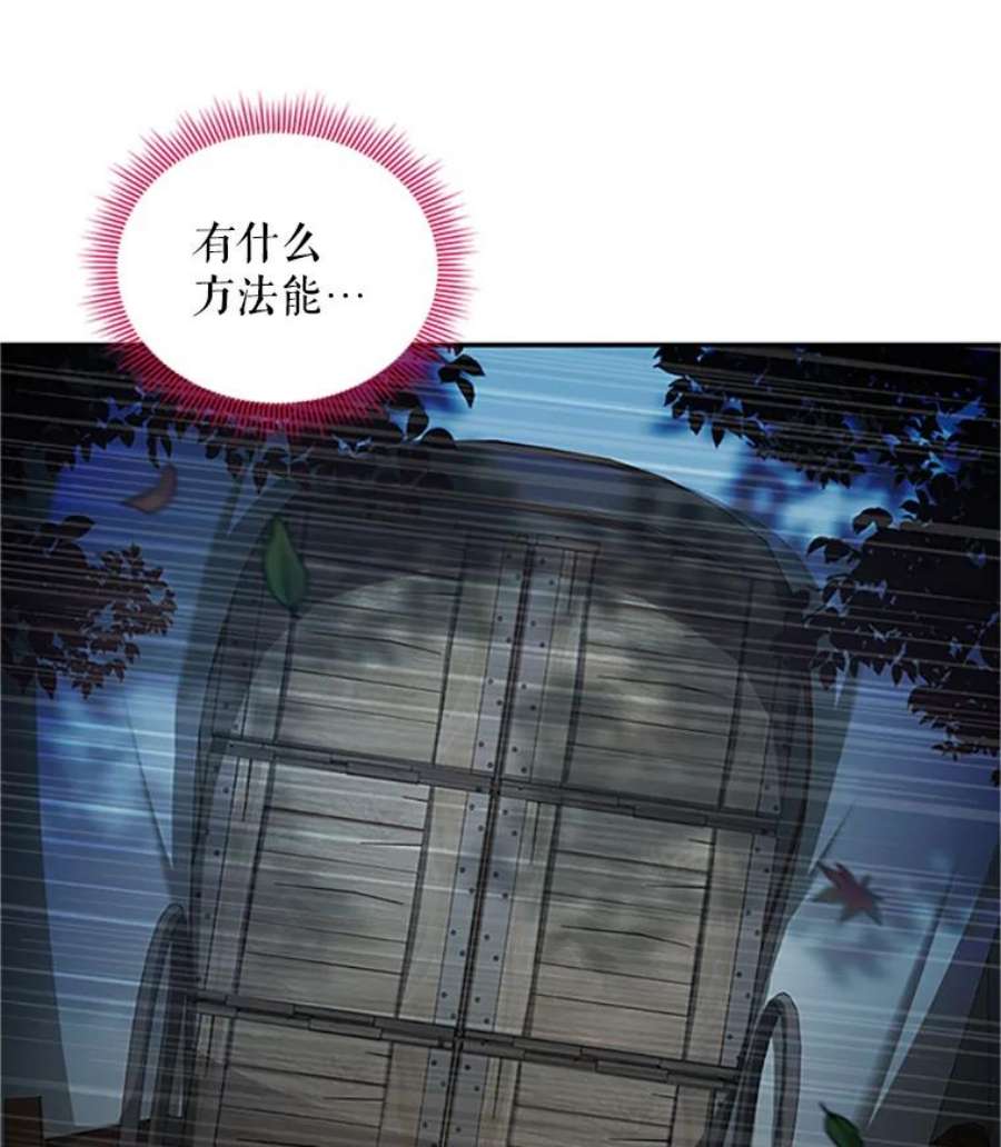 虚名的公爵之妻98.逃跑