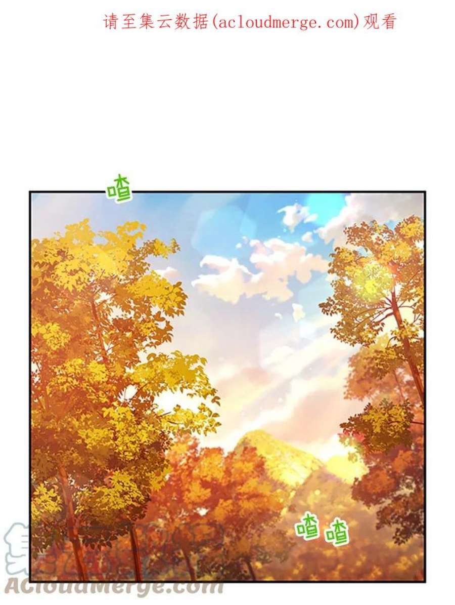 虚名的公爵之妻102.遇袭