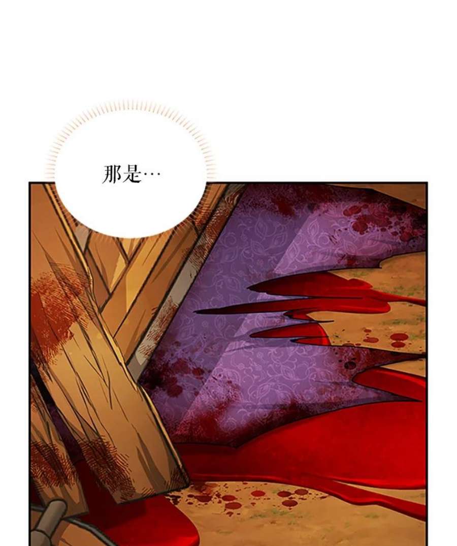 虚名的公爵之妻102.遇袭