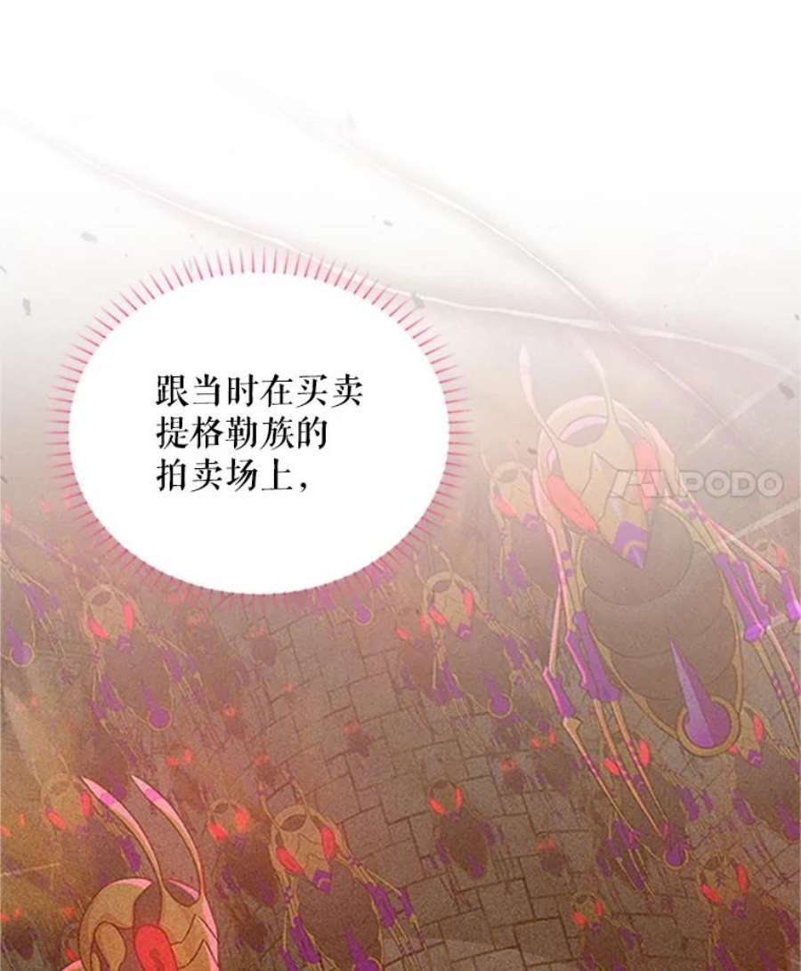 虚名的公爵之妻102.遇袭