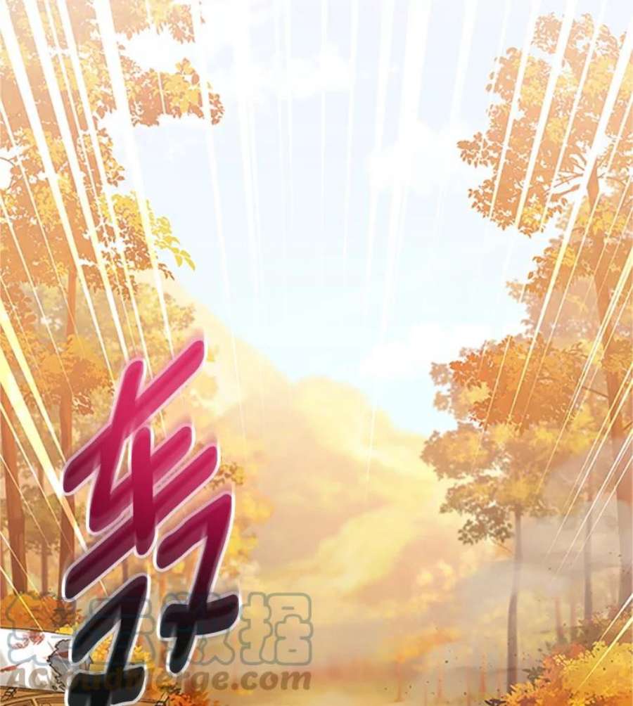 虚名的公爵之妻102.遇袭