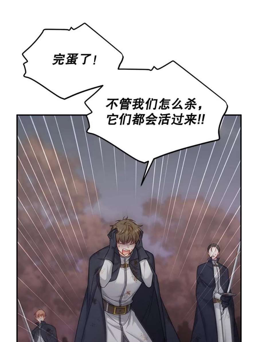 虚名的公爵之妻108.顶级召唤师