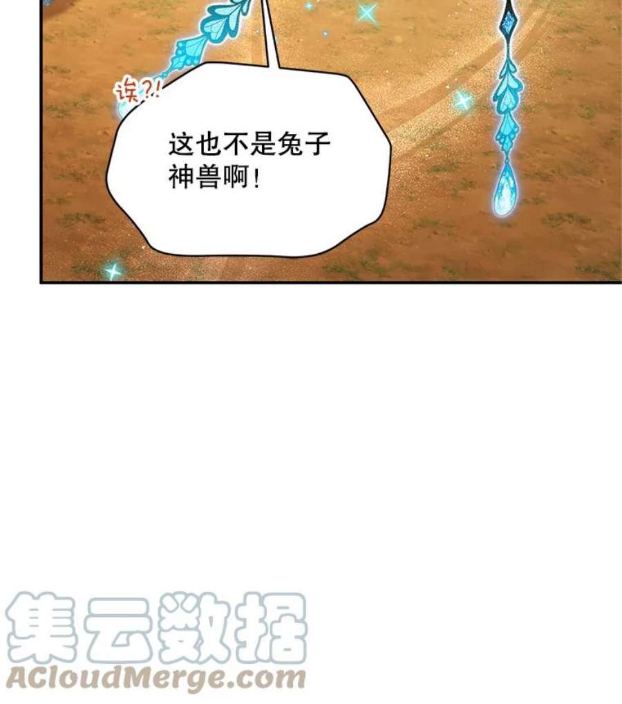 虚名的公爵之妻108.顶级召唤师