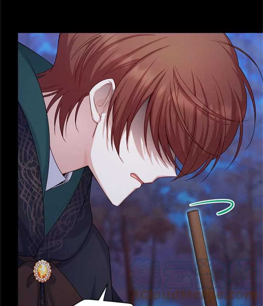 虚名的公爵之妻108.顶级召唤师