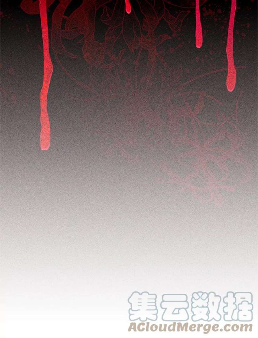 虚名的公爵之妻108.顶级召唤师